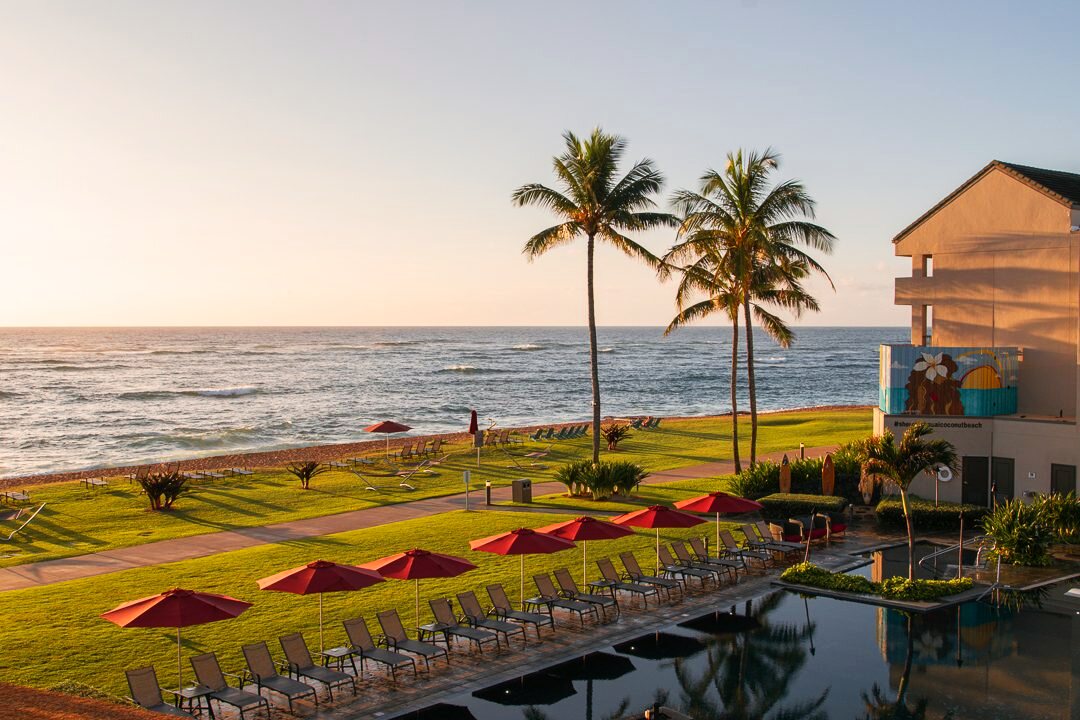Oceanfront resort grounds with palms at sunrise.